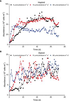 Haploid Helps Phaeocystis Globosa Distribute to Deeper Dim Water, as Evidenced by Growth and Photosynthetic Physiology